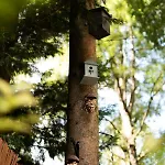 Alpesi faház 't Veluws Nest - Knus Veluwe - Hoenderloo, Honden Welkom