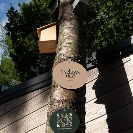 Domek alpejski 't Veluws Nest - Knus Veluwe - Hoenderloo, Honden Welkom Hoenderloo