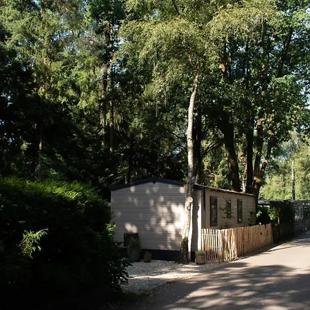 't Veluws Nest - Knus Veluwe - Hoenderloo, Honden Welkom Hoenderloo