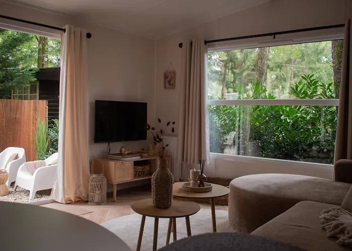 't Veluws Nest - Knus Veluwe - Hoenderloo, Honden Welkom * Hoenderloo