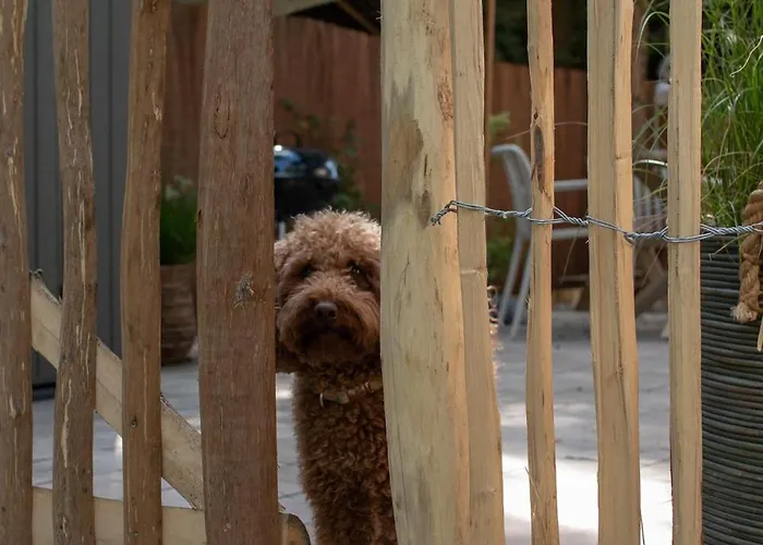 Domek alpejski 't Veluws Nest - Knus Veluwe - Hoenderloo, Honden Welkom Hoenderloo