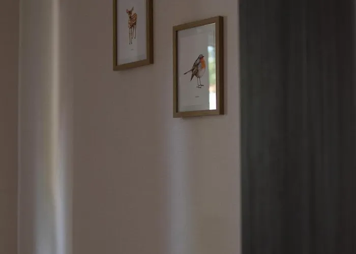 't Veluws Nest - Knus Veluwe - Hoenderloo, Honden Welkom Domek alpejski