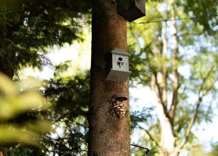 Domek alpejski 't Veluws Nest - Knus Veluwe - Hoenderloo, Honden Welkom