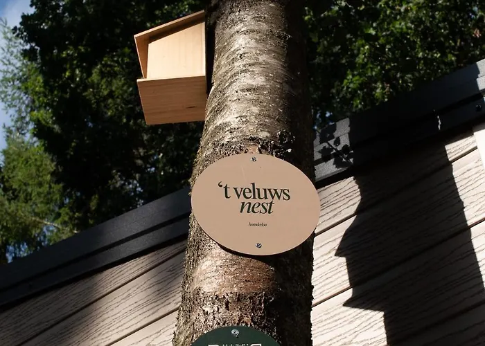 Domek alpejski 't Veluws Nest - Knus Veluwe - Hoenderloo, Honden Welkom Hoenderloo