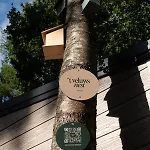 Horská chata 't Veluws Nest - Knus Veluwe - Hoenderloo, Honden Welkom Hoenderloo