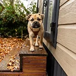 't Veluws Nest - Knus Veluwe - Hoenderloo, Honden Welkom *