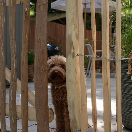 Chalet 't Veluws Nest - Knus Veluwe - Hoenderloo, Honden Welkom Hoenderloo