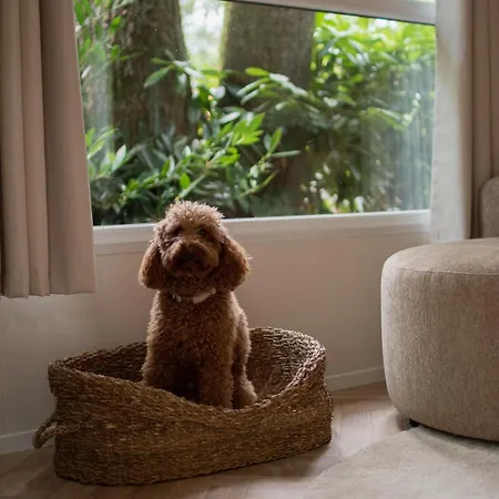 't Veluws Nest - Knus Veluwe - Hoenderloo, Honden Welkom * Хундерло