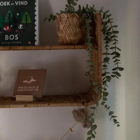 't Veluws Nest - Knus Veluwe - Hoenderloo, Honden Welkom *
