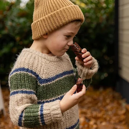 Chalet 't Veluws Nest - Knus Veluwe - Hoenderloo, Honden Welkom