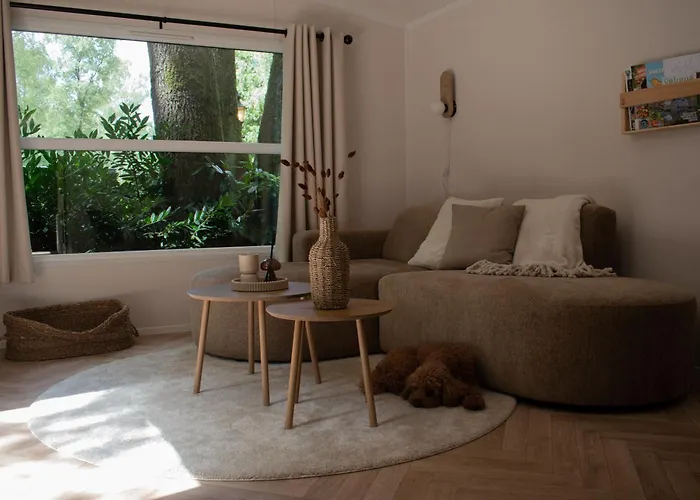 Chalet 't Veluws Nest - Knus Veluwe - Hoenderloo, Honden Welkom Hoenderloo