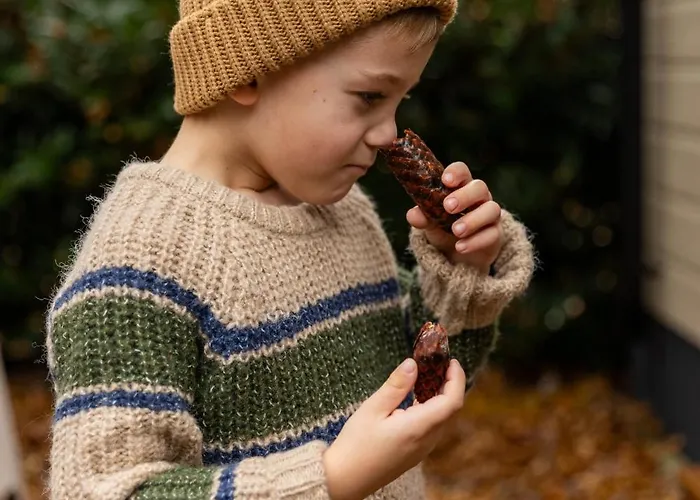 Chalet 't Veluws Nest - Knus Veluwe - Hoenderloo, Honden Welkom